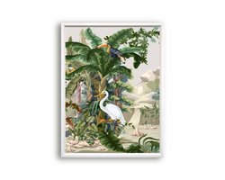 Postercity - Poster Vintage Jungle Dieren Kraanvogel Toekan midden - Jungle / Safari Poster - Kinderkamer / Babykamer - 70x50cm