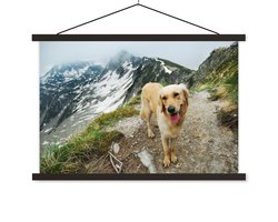 Posterhanger incl. Poster 60x40 cm - Schoolplaat - Een Golden Retriever op de bergpaden bovenop een berg - Textielposter - Zwarte latten
