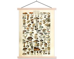 Posterhanger incl. Poster 60x80 cm - Schoolplaat - Paddenstoel - Herfst - Seizoenen - Vintage - Adolphe Millot - Natuur - Textielposter - Blanke latten