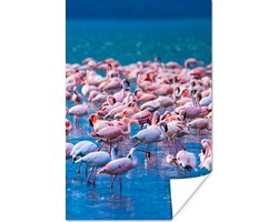 PosterMonkey - Poster - Fotolijst - Dieren - Flamingo - Zwart - Wit - Grijs - Kader - 40x60 cm - Slaapkamer - Poster lijst - Frame poster - Poster flamingo - Poster met frame