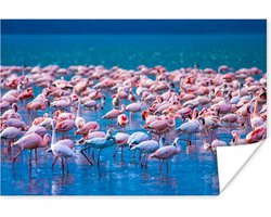PosterMonkey - Poster - Fotolijst - Dieren - Flamingo - Zwart - Wit - Grijs - Kader - 60x40 cm - Slaapkamer - Poster lijst - Frame poster - Poster flamingo - Poster met frame