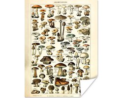 Posters Vintage - Natuur - Paddenstoelen - Adolphe Millot - Kamer decoratie aesthetic - Muurposter - Aesthetic poster - 60x80 cm