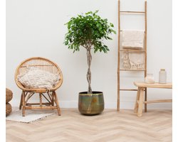 Pot Elisa Vintage Green