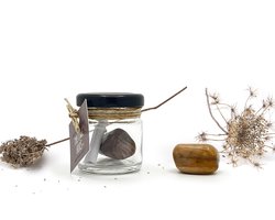 Potje voor je nieuwe huis - Versteend Hout | edelsteen cadeau voor bescherming, geborgenheid & positiviteit