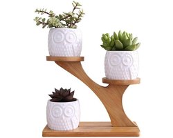 Potten voor vetplantjes van keramiek - Design uilen bloempotten met bamboe standaard 3 stuks Bloempot