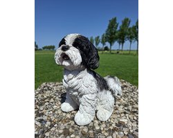 Prachtig Shih Tzu Hondenbeeld – Realistisch Polystone Tuinbeeld 23 cm – Zwart/Wit Handgeschilderd – Decoratie voor Binnen & Buiten