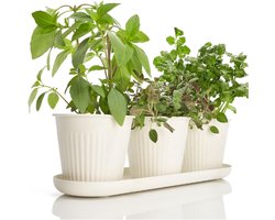 Prachtige Kruidentuinplanter Indoor Set Van 3 - Perfect Voor Elke Keuken Vensterbank Of Aanrecht - Moderne Decoratieve Tuinplantenbakset Inclusief Lade En Drainagegaten Voor Thuis Verse Kruiden