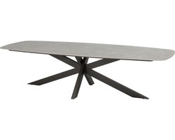 Prado dining tuintafel 300x110xH75 cm terre met keramisch deens ovaal blad Taste 4SO