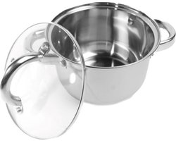 Precisie Home - Kleine Kookpan met Deksel - 16 cm - RVS - Inductie