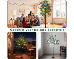 Premium LED Olijfboom 180 cm – Kunstmatige Decoratieboom met 300 Warmwitte LED’s – Buigzame Takken – IP44 Binnen & Buiten – Realistische Olijfboom Verlichting – Medahomestore