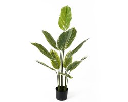 Present Time Kunstplant Calathea Large - Groen - 70x70x116cm - Modern