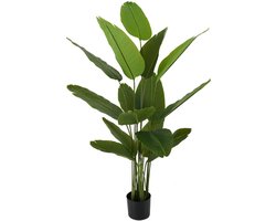 Present Time Kunstplant Canna - Groen - 86x86x150cm - Modern