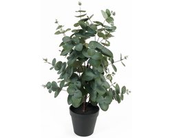 Present Time Kunstplant Eucalyptus Leaf - Groen - 25x25x54cm - Modern