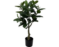 Present Time Kunstplant Rubber Tree - Groen - 48x48x69cm - Modern