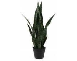 Present Time Kunstplant Sansevieria - Groen - 30x30x66cm - Modern