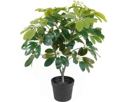 Present Time Kunstplant Shefflera - Groen - 40x40x48cm - Modern