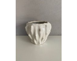 Present Time - Pot - Flora - Small