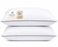 Princess Line Basic Hoofdkussen - 60x70 cm - Set van 2 - Hotelkwaliteit - Anti-allergisch - Aanpasbaar met Rits