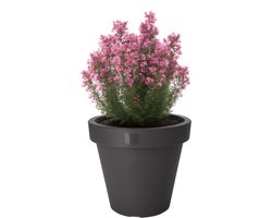 Pro Garden Bloempot - antraciet - rond - D25 cm - kunststof - plantenpot - tuin buiten