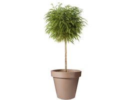 Pro Garden Bloempot - mokka bruin - rond - D50 cm - kunststof - plantenpot - tuin buiten