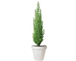 Pro Garden Bloempot - wit - rond - D50 cm - kunststof - plantenpot - tuin buiten