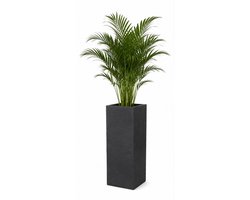 Pro Garden grote plantenpot Basalt Kubus - kunststof - antraciet - 30 x 80 cm - buiten - dubbelwandig - tuin