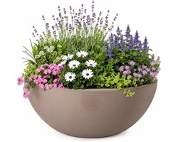 Pro Garden Plantenpot/bloempot ronde schaal - kunststof - beige - D40 x H16 cm - Voor buiten