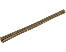 Pro Garden Plantenstokken - 10x - bamboe - H60 cm - plantensteun - bamboestokken/tonkinstokken