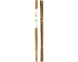 Pro Garden Plantenstokken - 10x - bamboe - H79 cm - plantensteun - bamboestokken/tonkinstokken