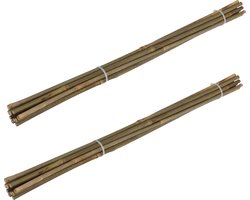 Pro Garden Plantenstokken - 20x - bamboe - H60 cm - plantensteun - bamboestokken/tonkinstokken
