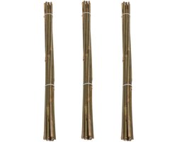 Pro Garden Plantenstokken - 30x - bamboe - H60 cm - plantensteun - bamboestokken/tonkinstokken