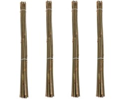 Pro Garden Plantenstokken - 40x - bamboe - H60 cm - plantensteun - bamboestokken/tonkinstokken