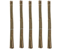 Pro Garden Plantenstokken - 50x - bamboe - H60 cm - plantensteun - bamboestokken/tonkinstokken