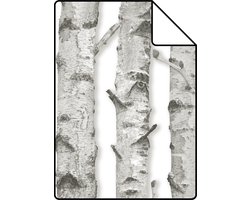 Proefstaal ESTAhome behang berken boomstammen licht warm grijs - 26,5 x 21 cm - 138889-S