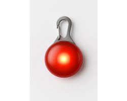 Professor Q – LED Lampje voor Honden – Rood – Hondenlampje voor Halsband – Waterdicht – 3 Lichtstanden – Batterij Inclusief