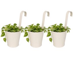 Progarden Bloempotje met haak - 3x - plantenbak zink met ophanghaak - wit - 20 x 13 x 26 cm - ophangbaar - Balkon/schutting plantenpot