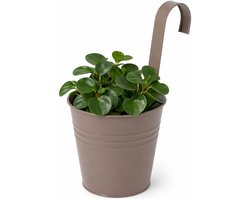 Progarden Bloempotje met haak - plantenbak zink met ophanghaak - bruin - 20 x 13 x 26 cm - ophangbaar - Balkon/schutting plantenpot