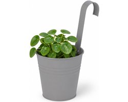 Progarden Bloempotje met haak - plantenbak zink met ophanghaak - grijs - 20 x 13 x 26 cm - ophangbaar - Balkon/schutting plantenpot