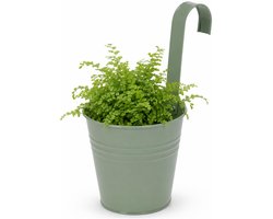 Progarden Bloempotje met haak - plantenbak zink met ophanghaak - groen - 20 x 13 x 26 cm - ophangbaar- Balkon/schutting plantenpot