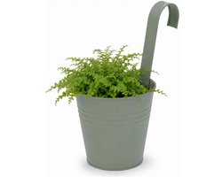 Progarden Bloempotje met haak - plantenbak zink met ophanghaak - groen - 20 x 13 x 26 cm - ophangbaar - Balkon/schutting plantenpot