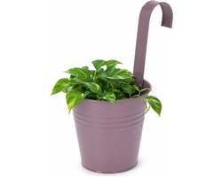 Progarden Bloempotje met haak - plantenbak zink met ophanghaak - paars - 20 x 13 x 26 cm - ophangbaar- Balkon/schutting plantenpot