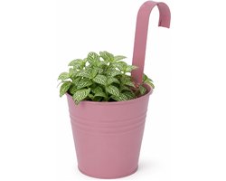 Progarden Bloempotje met haak - plantenbak zink met ophanghaak - roze - 20 x 13 x 26 cm - ophangbaar- Balkon/schutting plantenpot