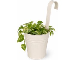 Progarden Bloempotje met haak - plantenbak zink met ophanghaak - wit - 20 x 13 x 26 cm - ophangbaar - Balkon/schutting plantenpot