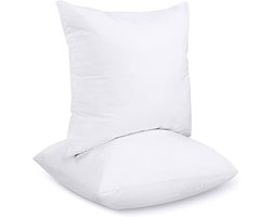 PromoHome Sierkussens Set van 2 - 65x65 cm Zachte Vulkussens voor Bank en Bed - Wit