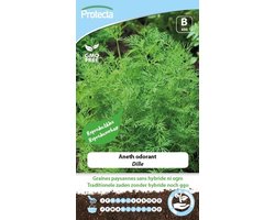 Protecta Kruiden zaden: Dille