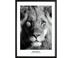 Proud Lion Poster - Wallified - Natuur - Landschap - Zee - Poster - Print - Wall-Art - Woondecoratie - Kunst - Posters