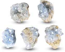 Provento - Natuurlijke Ruwe Blauw Celestiet Crystal Cluster - Meditatie Therapie Decoratie