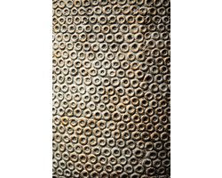 PTMD Bloempot Laim - 40x40x40 cm - Cement - Grijs
