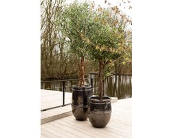 PTMD Bloempot Tony - 60x60x72 cm - Keramiek - Groen