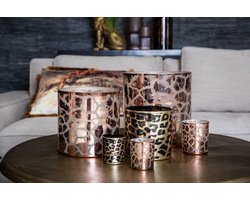 PTMD Desiree Windlicht Giraffe - H20 x Ø20 cm - Glas - Goud